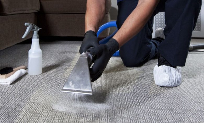Carpets That Sparkle: Professional Cleaning Services for a Beautiful Home