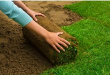 The Importance of Proper Irrigation in Lawn Installation