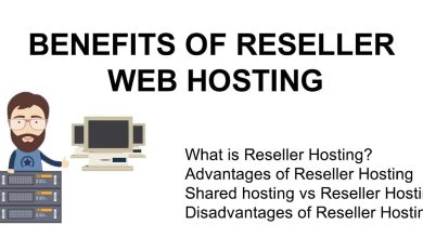 Reseller Web Hosting Account